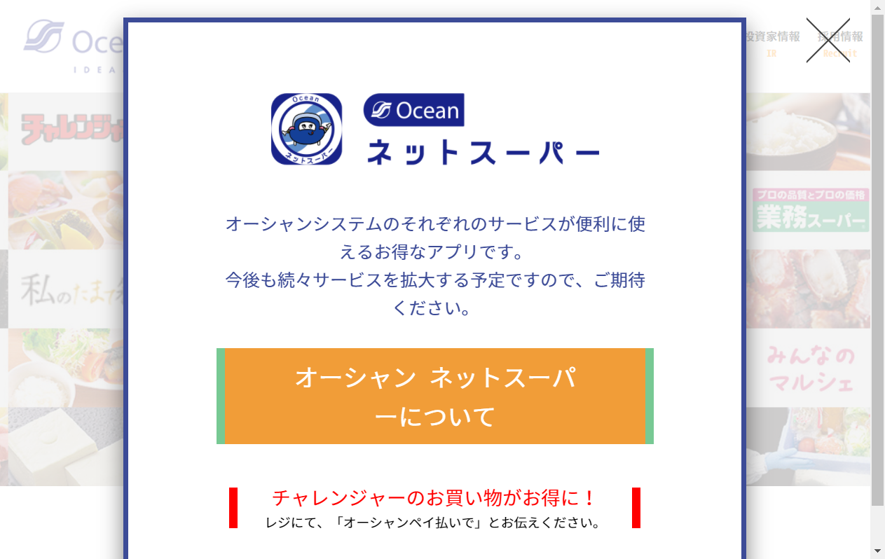 3096：オーシャンシステム　企業ホームページ