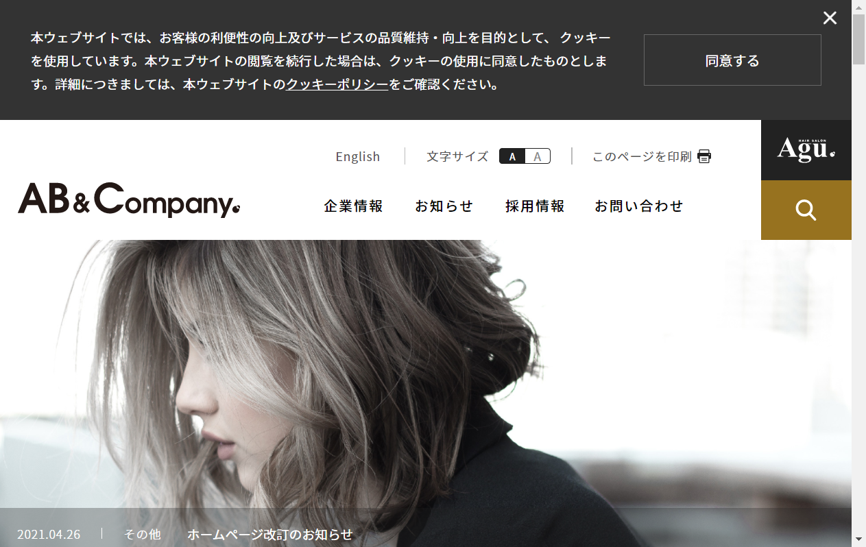 9251：AB&Company　企業ホームページ